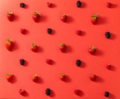 From above top view of fresh blackberry placed in line with ripe strawberries in summer berries composition on red surface background — Stock Photo