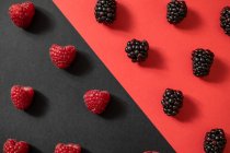From above fresh blackberry and ripe raspberry placed in between a division of black and red background in summer berries composition — Stock Photo