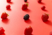 Amora fresca colocada em linha com morangos maduros na composição de bagas de verão no fundo da superfície vermelha — Fotografia de Stock