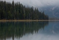 Pintoresco paisaje con bosque de coníferas reflejándose en el agua del lago - foto de stock