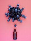 Top view composition of blueberries and blackberries arranged over small glass bottle on pink background — Stock Photo