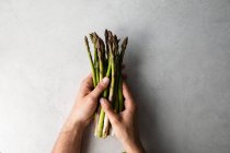 Mani che contengono mazzo di asparagi freschi — Foto stock