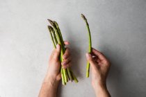 Mani che contengono mazzo di asparagi freschi — Foto stock