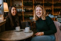 Freundinnen ruhen sich in gemütlichem Café aus — Stockfoto