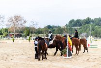 Jeune jockeys dans les casques communiquant entre eux tout en chevauchant des chevaux obéissants sur l'arène de dressage sablonneux pendant les cours à l'école équestre — Photo de stock