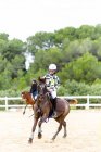 Jovencito jinete en casco montar caballo marrón en la arena doma durante el entrenamiento en la escuela ecuestre - foto de stock