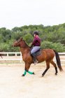 Side view of teen boy jockey in helmet riding brown horse on dressage arena during training in equestrian school — Stock Photo