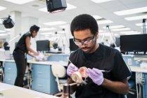 Афроамериканець у латексних рукавичках з використанням ротового дзеркала і зонда, щоб перевірити хибні зуби під час роботи в сучасній лабораторії. — стокове фото