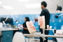 Fausses dents attachées à un occludeur métallique sur fond flou du laboratoire d'orthodontie moderne et du personnel ethnique — Photo de stock