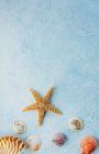 Вид зверху на різнокольорові черепашки і сушені морські зірки, розміщені на синій ліпнині в літній день — стокове фото