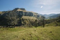 Majestätische, sonnige Berglandschaft und grüne Felder im Hochland Kantabriens — Stockfoto