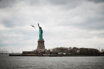 Low angle view of famous Statue of Liberty in New York City against gray overcast sky with bird flying nearby — Stock Photo