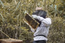 Beekeeper holding frame of honeycombs with bees — Stock Photo