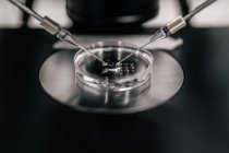 Primo piano aghi sottili che inseriscono lo sperma nell'ovulo durante il processo di fecondazione nella moderna clinica — Foto stock
