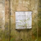 Parede de pedra gasta envelhecida de edifício desolado com porta aberta e árvore crescendo nas proximidades — Fotografia de Stock