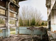 Ruinen einer alten, vernachlässigten Industriehalle mit schäbigen Mauern und Werkbank inmitten eines blattlosen Quellwaldes in Asturien in Spanien — Stockfoto