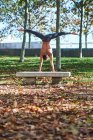 Rückenansicht eines unkenntlich gemachten Mannes in Jeans, der Handstand mit weit gespreizten Beinen auf betongrauer Bank im Herbstpark mit abgefallenen Blättern macht — Stockfoto