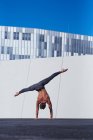 Задний вид неузнаваемого спортсмена без рубашки, выполняющего одну руку, выполняя упражнения против стены и синего неба на крыше современного здания — стоковое фото