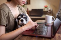 Вид збоку на обрізаний невідомий фокусований жіночий фрілансер, який працює дистанційно на ноутбуці, сидячи на стільці, тримаючи собаку — стокове фото