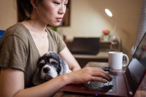 Vista lateral de corte irreconhecível focado freelancer feminino trabalhando remotamente no laptop sentado na cadeira enquanto segurando o cão — Fotografia de Stock
