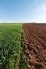 Paisaje rural con campo agrícola medio arado y medio plantado bajo cielo azul - foto de stock