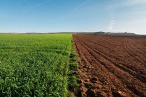 Paesaggio rurale con campo agricolo metà arato e metà piantato sotto il cielo blu — Foto stock