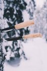 Pair of professional knives stuck in tree trunk in snowy winter forest — Stock Photo