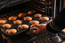 Ernte unkenntlich Konditor nimmt aus dem Ofen köstliche hausgemachte Muffins in der Küche — Stockfoto