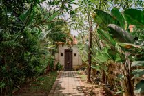 Каменная дорожка, ведущая к входу в коттедж в окружении экзотических растений в солнечный день на Бали — стоковое фото