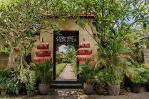 Passerelle en pierre menant à l'entrée du chalet entouré de plantes exotiques par une journée ensoleillée à Bali — Photo de stock