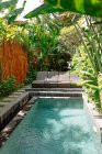 Cour confortable avec piscine entourée de plantes tropicales et clôture en bambou à Bali — Photo de stock