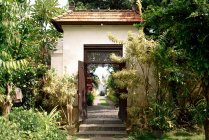 Pasarela de piedra que conduce a la entrada de la casa de campo rodeada de plantas exóticas en el día soleado en Bali - foto de stock