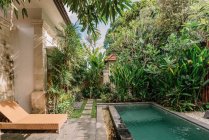 Pátio acolhedor com piscina rodeada de plantas tropicais e rede em Bali — Fotografia de Stock