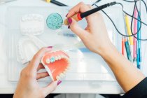 Von oben der Pflanzenschüler mit künstlichem Zahnmodell und Bohrerlerntraining in zahnärztlichen Behandlungen während des Unterrichts im Labor — Stockfoto