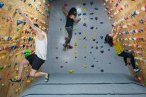 Вид сбоку на молодую группу сильных мужских и женских альпинистов, тренирующихся на стене в современном тренажерном зале — стоковое фото