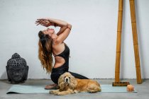 Самка сидить на маті йоги з англійським собакою - кокером і медитує в Падмасані в кімнаті з головою Будди і бамбуковими паличками. — стокове фото
