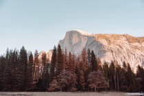 Herbstszene mit Feld, Bäumen und Felsen im Yosemite-Nationalpark in Kalifornien — Stockfoto