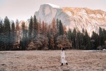 Felice rilassato giovane viaggiatore femminile in abito elegante seduto sul confine di pietra contro pittoresco scenario di montagna con scogliere rocciose e foresta di conifere nel Parco Nazionale di Yosemite negli Stati Uniti — Foto stock