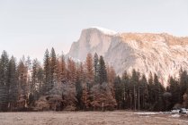 Восени з полем, деревами і каменем в Йосемітському національному парку в Каліфорнії. — стокове фото