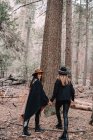 Vista posteriore a tutta lunghezza di giovani amiche alla moda in abiti alla moda e cappelli in piedi vicino all'alto albero di sequoia nella foresta mentre trascorrevano del tempo nel Parco Nazionale di Yosemite in California — Foto stock