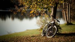 Велосипед, припаркований під деревом з зеленим і жовтим листям на горбистому газоні на тлі розмитої спокійної річкової води в сонячний день — стокове фото