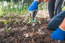 Вид сбоку на анонимного урожая в перчатках, копающего почву небольшими садовыми лопатами во время посадки саженцев в саду весной — стоковое фото