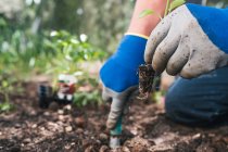 Ernte anonyme Person in Handschuhen graben Erde mit kleinen Gartenschaufel beim Pflanzen von Setzlingen im Garten im Frühling Tag — Stockfoto