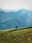 Vista lateral del excursionista admirando majestuosos paisajes de montañas cubiertas de bosques verdes - foto de stock