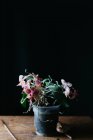 Composizione di fiori naturali che crescono in vaso su tavolo di legno squallido in camera oscura — Foto stock