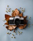 Зверху вінтажну плівкову камеру, складену на сухому кленовому листі на сірій поверхні в сучасній студії — стокове фото