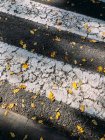 D'en haut des feuilles jaunes tombées sur le sol asphalté avec des lignes blanches peintes de passage pour piétons par une journée ensoleillée en automne — Photo de stock