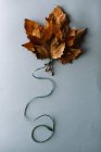 Bouquet de feuilles d'érable sèches et brillantes liées par une corde en forme de ballon sur fond gris — Photo de stock