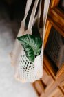 White string bag with fresh loquat fruit and leaves hanging on door — Stock Photo
