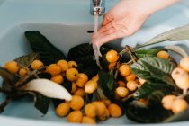 Female hand and loquat fruit on branches with green leaves in sink with water flowing from crane — Stock Photo